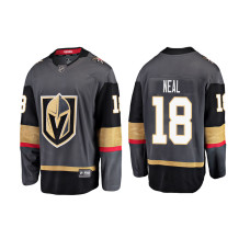 Youth Vegas Golden Knights Gray James Neal Breakaway Premier 2018 Jersey
